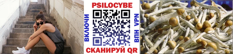 Галлюциногенные грибы Psilocybe  Монино 